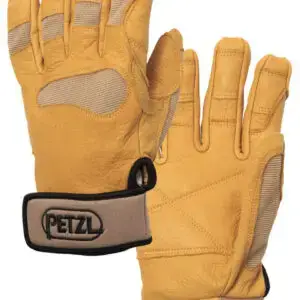 CORDEX PLUS