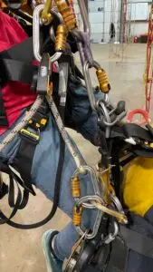 Positioner Attached from Ventral to Ventral with Slack Removed