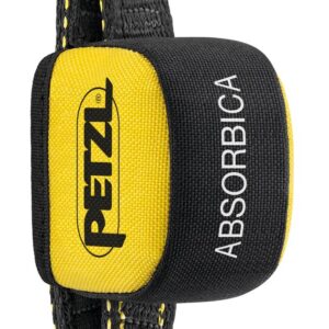 ABSORBICA